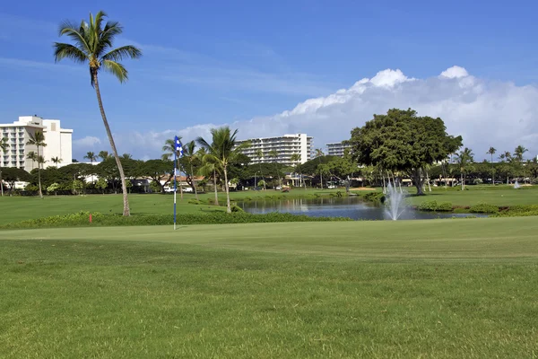 stock image Maui Golf