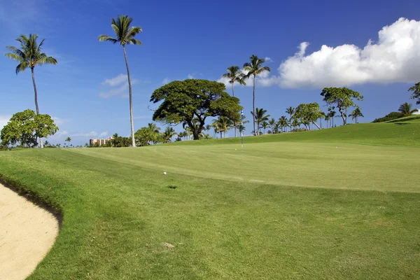 Maui Golf — Stockfoto