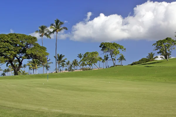 Maui golf yeşil — Stok fotoğraf
