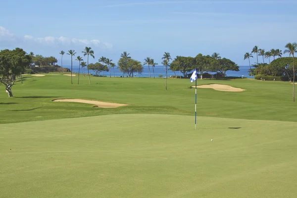 Поле для гольфа Мауи — стоковое фото