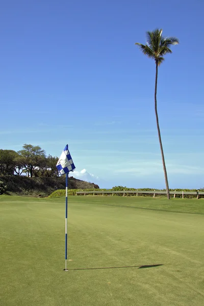 Golf på maui — Stockfoto