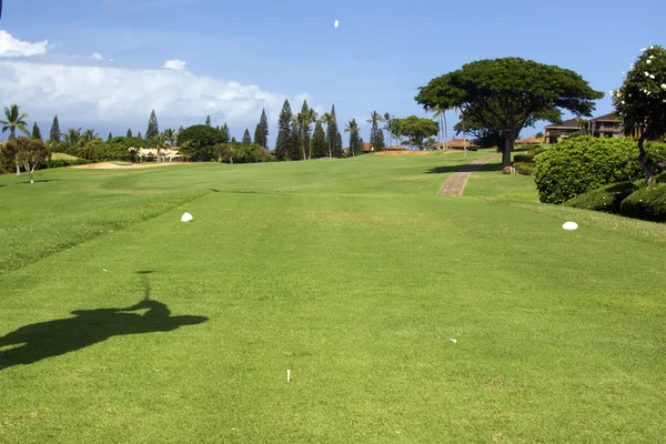 Shadow of Golfer on Maui — Stock Photo, Image