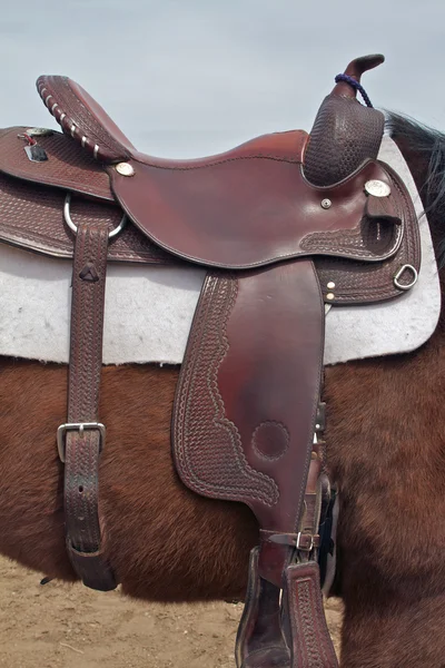Häst med western sadel — Stockfoto
