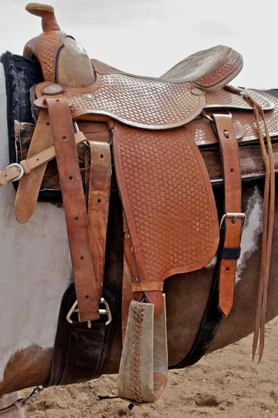 Лошадь с западным седлом — стоковое фото