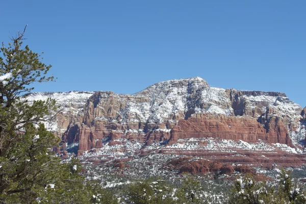 在冬天的红色岩石景观 — 图库照片