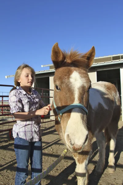 Młoda dziewczyna oporządzanie konia kucyk — Zdjęcie stockowe