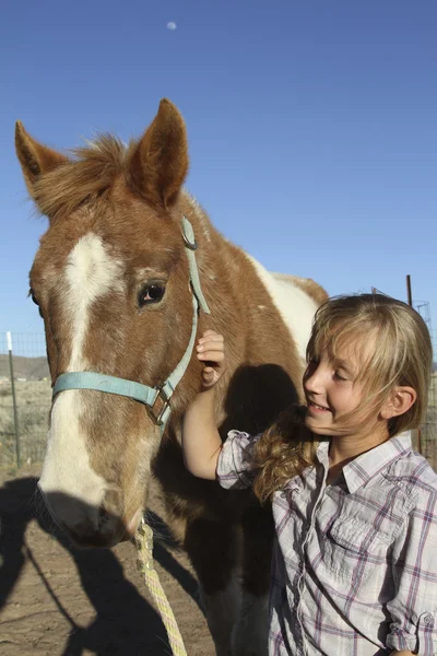 幸せな少女と馬 — ストック写真