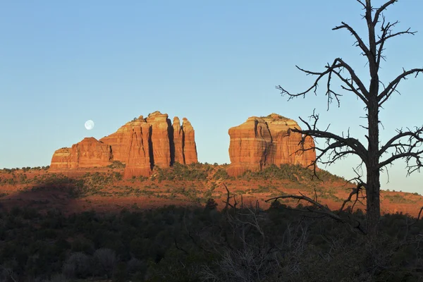Moonset at Cathedral Rock — Stock Photo, Image