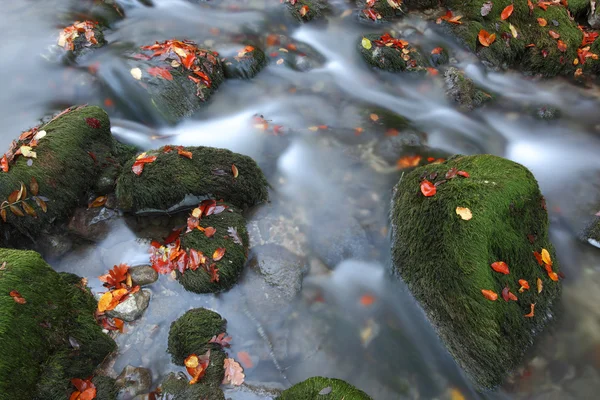 Kamieni rzecznych, moss-grown i rzeki — Zdjęcie stockowe