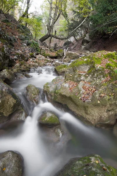 Río de montaña entre piedras y árboles.Paisaje — Foto de Stock