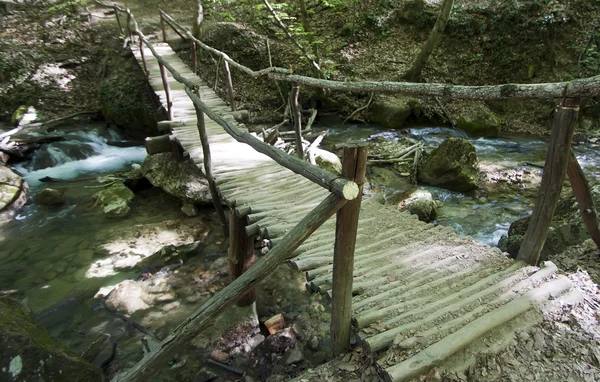 stock image Timbered bridge through the river in wood