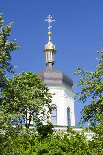 Dome of Christian orthodox church Royalty Free Stock Images