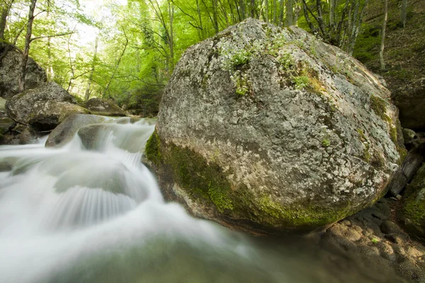 The river in mountains in the spring — Stock Photo, Image