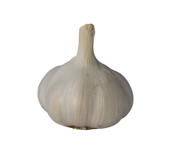 stock image Garlic on the isolated white background