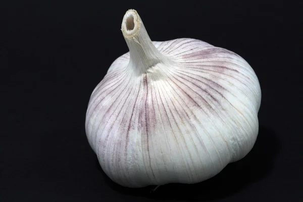stock image Garlic largely on a black background