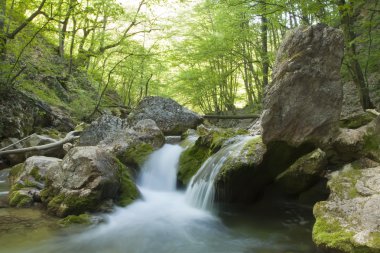 The mountain river in the spring in the wood clipart