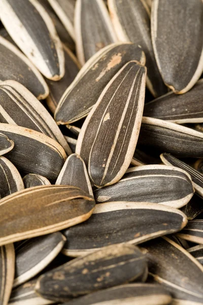 Slunečnicová semena — Stock fotografie