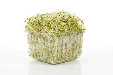 Alfalfa Sprout clipart