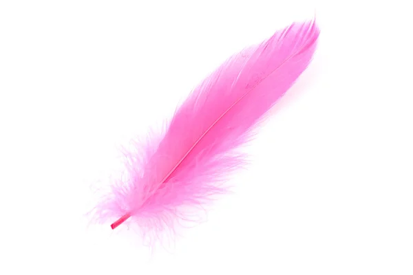 Pink feather Stockfoto