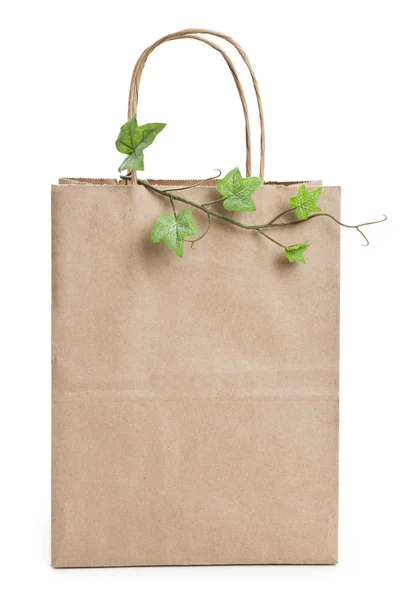 Ruskea paperi ostoskassi ja kasvi — kuvapankkivalokuva