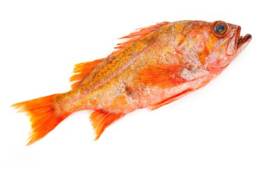 kırmızı balık