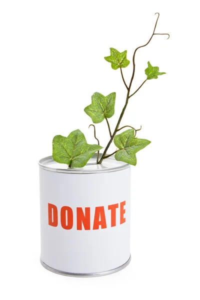 Donatie box en groene plant — Stockfoto