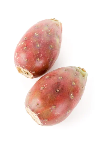Fruits du cactus — Photo