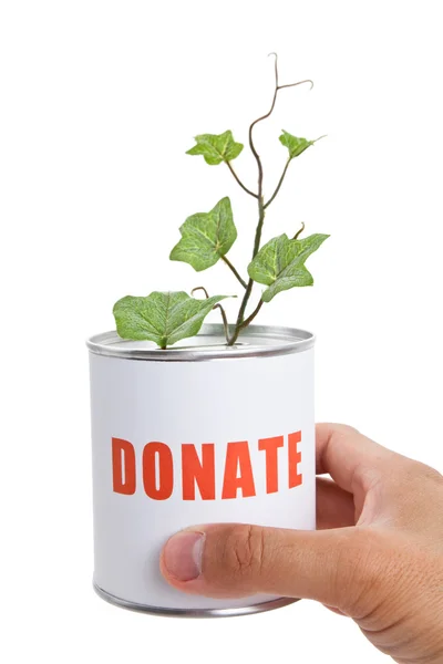 Donation Box and Green Plant — Stock Photo, Image