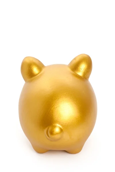 Золотая свинья — стоковое фото