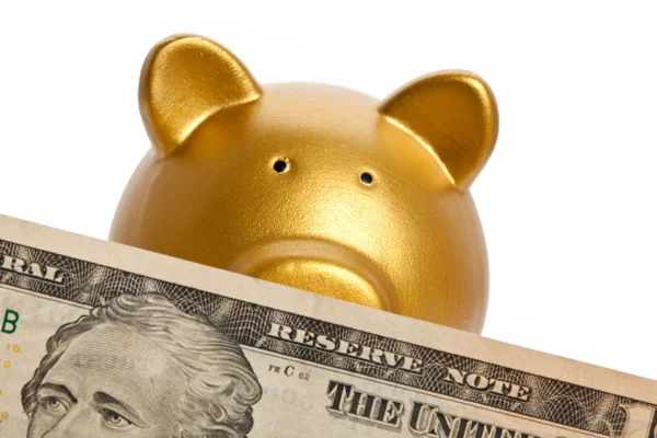 Piggy Bank and Dollar — Stock Photo, Image