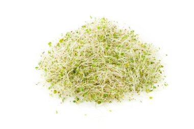 Alfalfa Sprout clipart