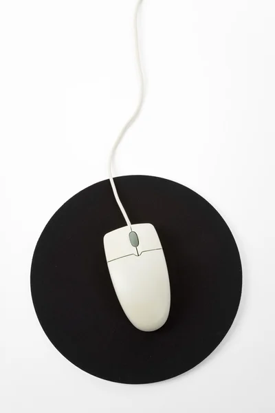 计算机鼠标 — 图库照片