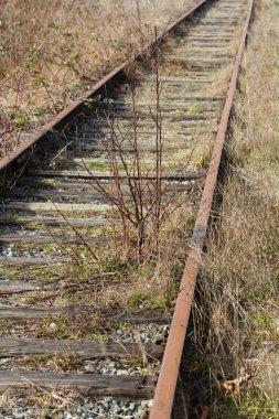 tren yolu terk