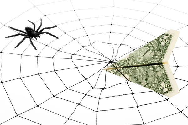 Spindelnät och dollar — Stockfoto