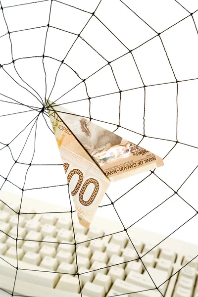 Spider Web y dólar — Foto de Stock