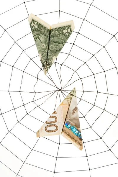 Pók hálójában és a dollár Stock Kép