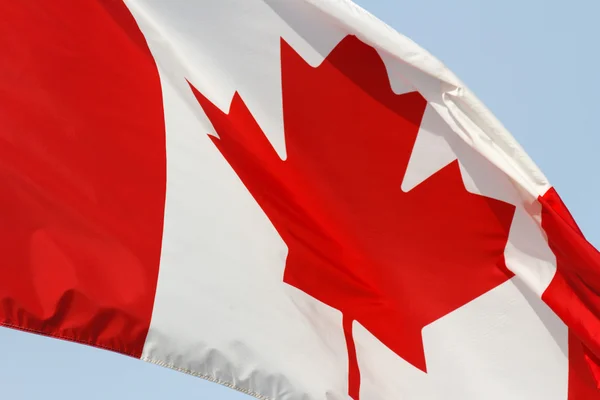 カナダ国旗 ストック画像