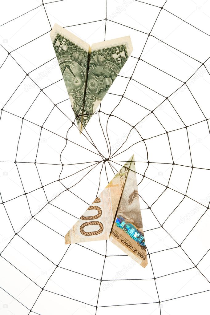Spider Web and dollar