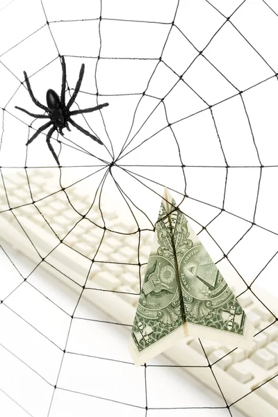 Павутина і долар — стокове фото