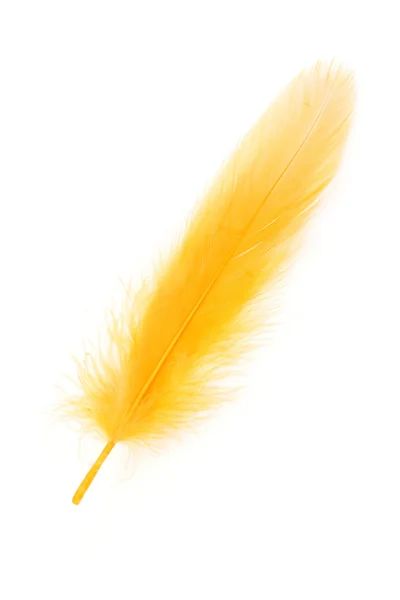 黄色の羽 — ストック写真