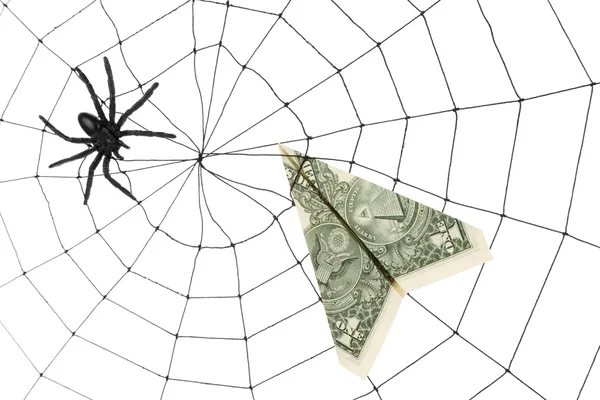 Spinnenweb en dollar Stockfoto