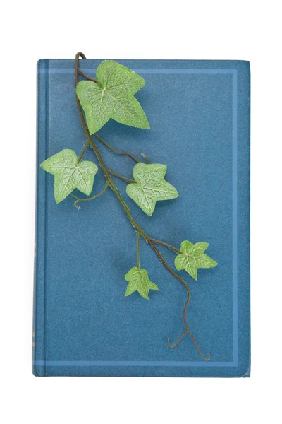 Livro azul e broto — Fotografia de Stock