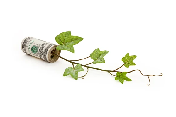 Dolar i zielony kiełkować — Zdjęcie stockowe