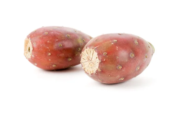 Fruits du cactus — Photo