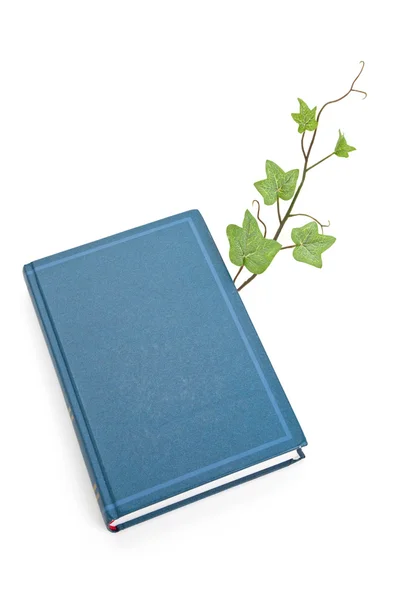 Mavi kitap ve Filiz — Stok fotoğraf