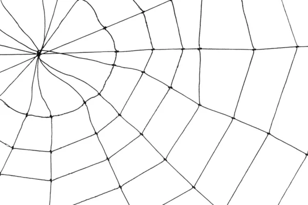 Павутина — стокове фото