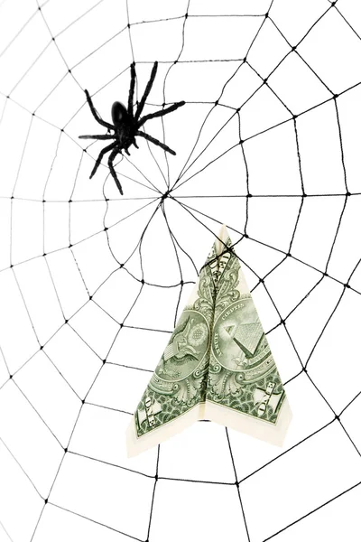 蜘蛛网和美元 — 图库照片