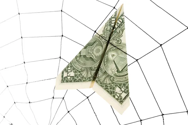 Spindelnät och dollar — Stockfoto