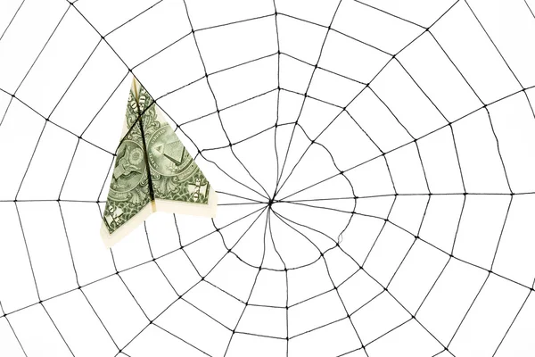 Pók hálójában és a dollár — Stock Fotó