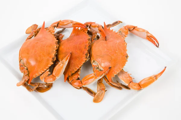 Crabe — Photo